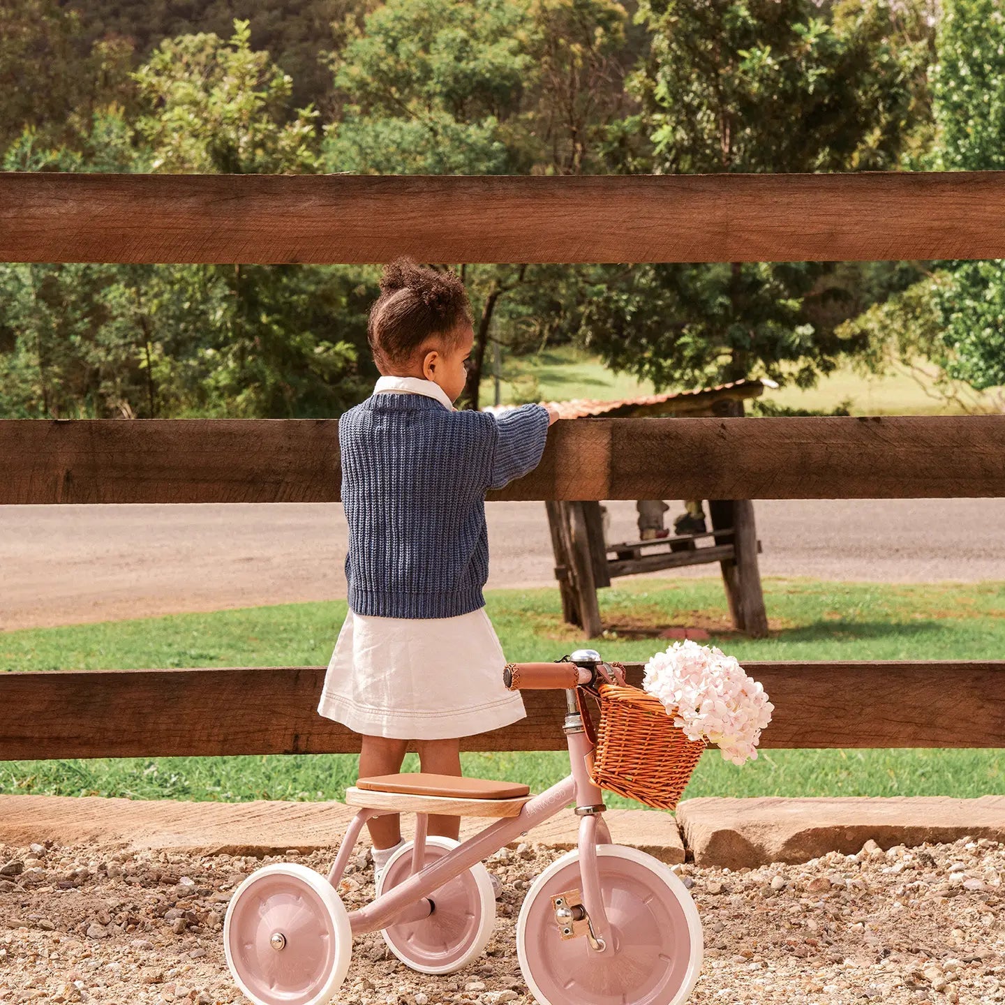 Banwood Vintage Trike | Dusty Pink BicyclesBanwoodTAYLOR + MAX