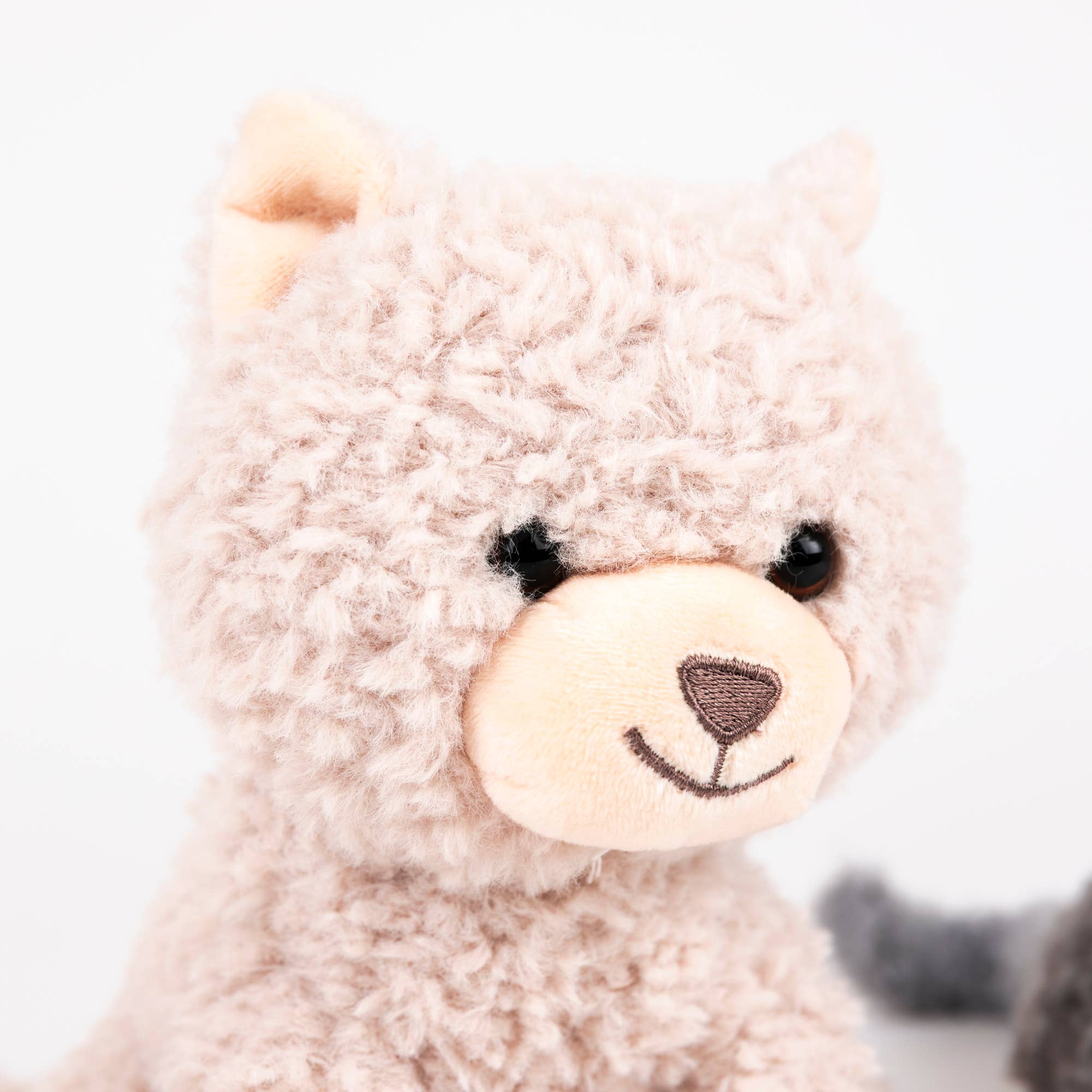 Duo Large Romy Cat EgmontTAYLOR + MAX