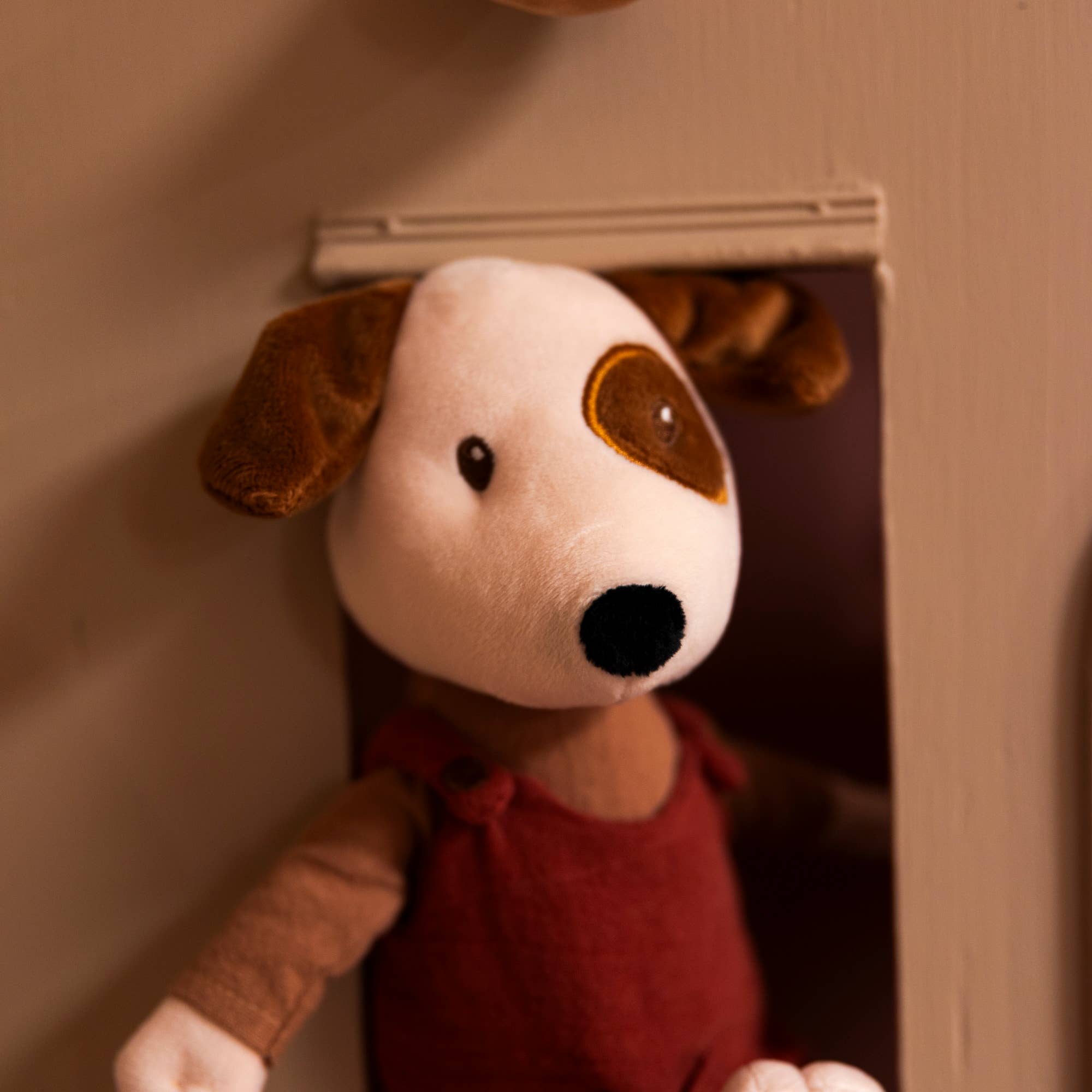 Eddie Dog EgmontTAYLOR + MAX