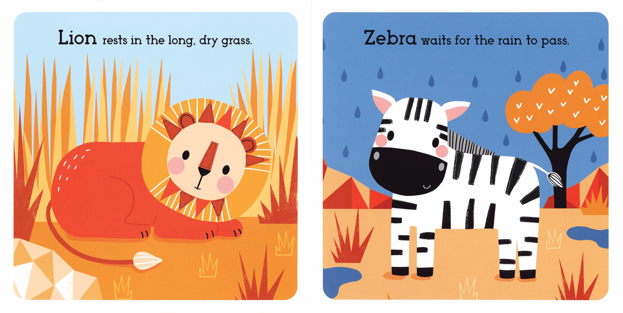 Read, Touch, Discover: Animals of the Savanna EDC PublishingTAYLOR + MAX