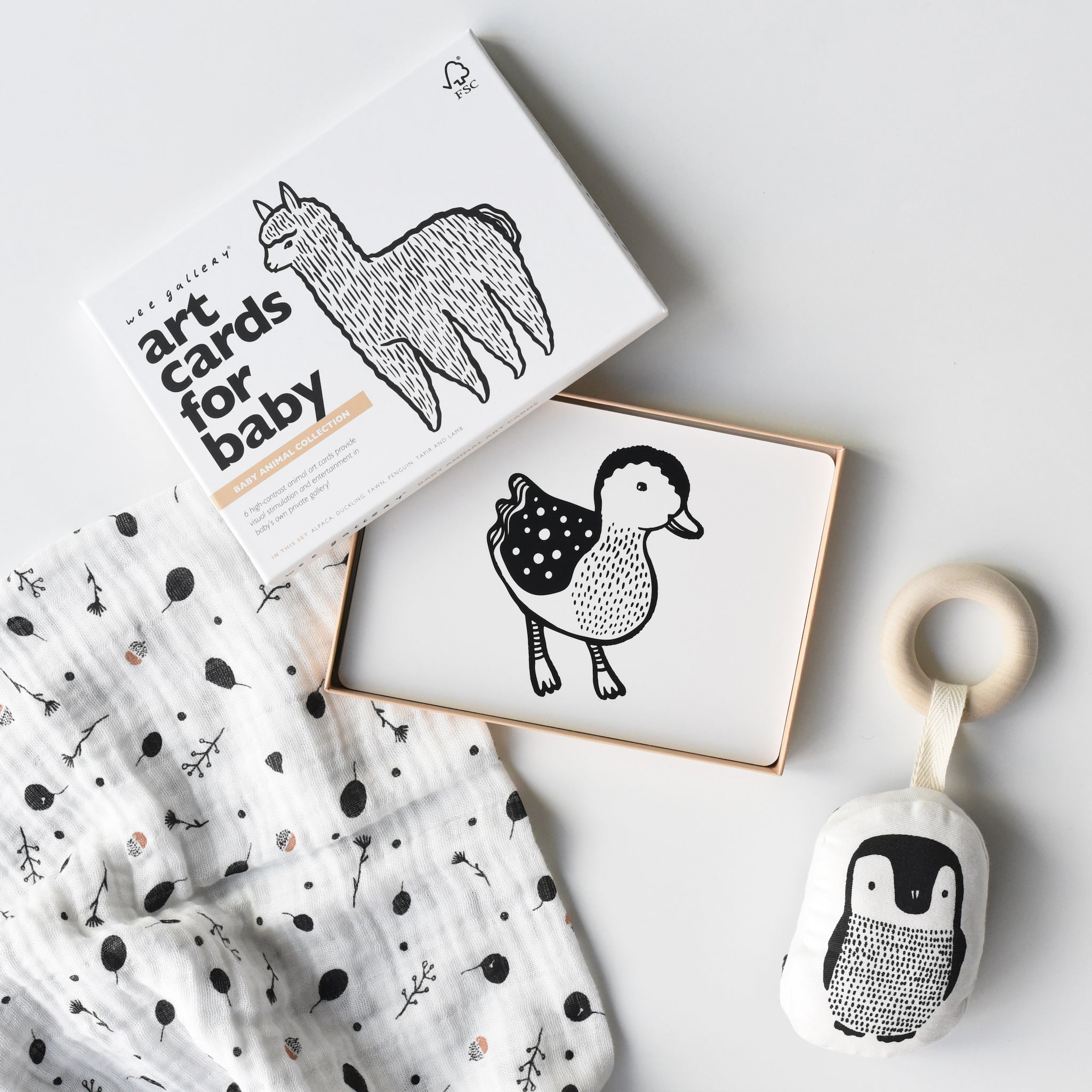 Little Naturalist Gift Set - Baby Animals Gift SetsWee GalleryTAYLOR + MAX
