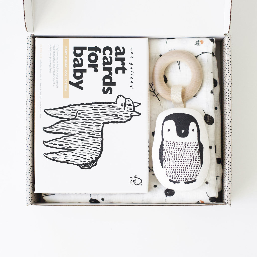 Little Naturalist Gift Set - Baby Animals - TAYLOR + MAXWee Gallery