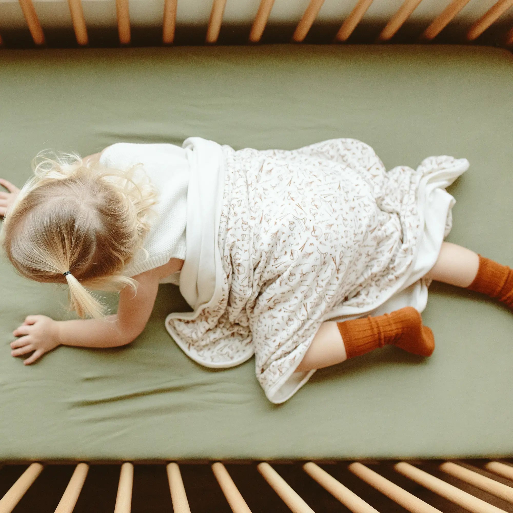 Organic Cotton Knee High Socks | Garden organic cotton socks > knee socks for babygoumikidsTAYLOR + MAX