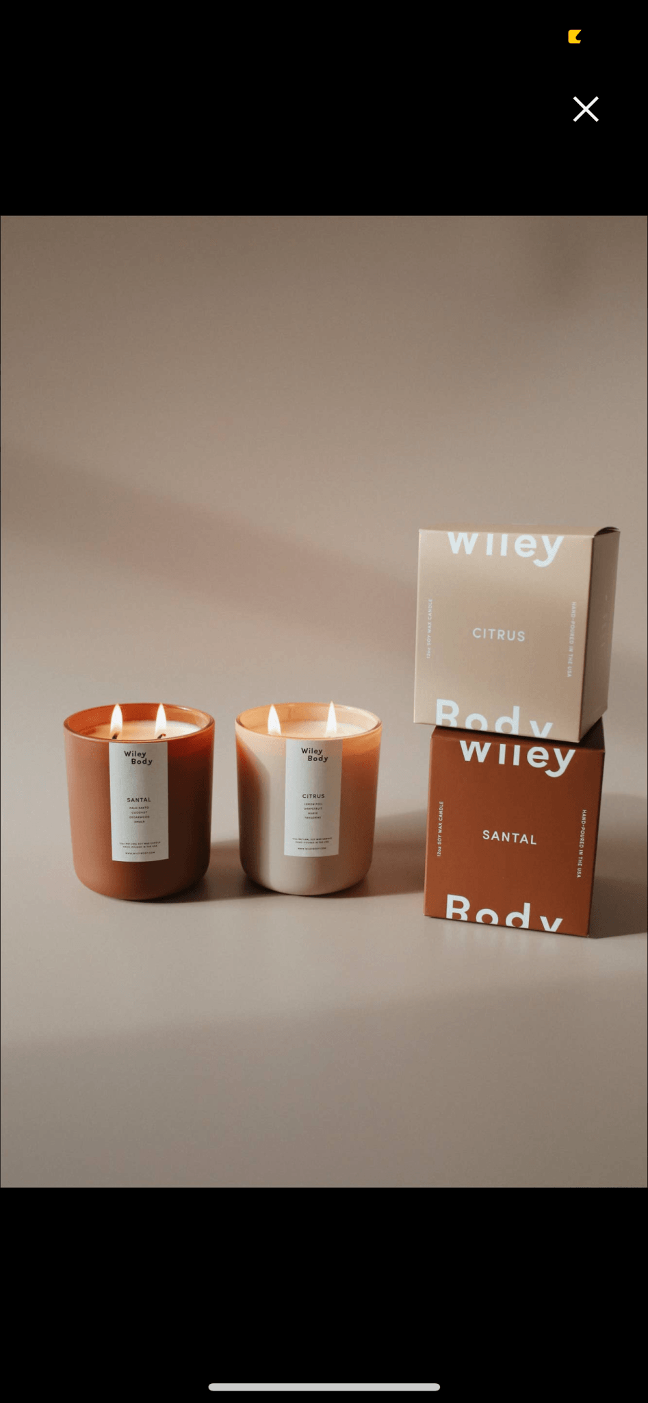 Wiley Body Candle | Citrus CandlesWiley BodyTAYLOR + MAX