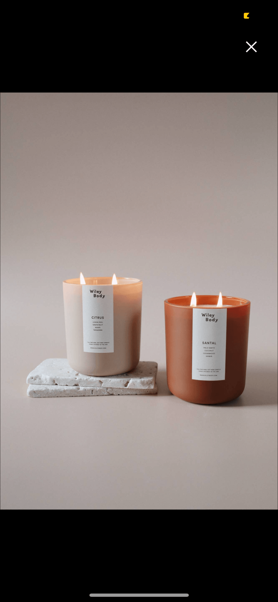Wiley Body Candle | Citrus CandlesWiley BodyTAYLOR + MAX