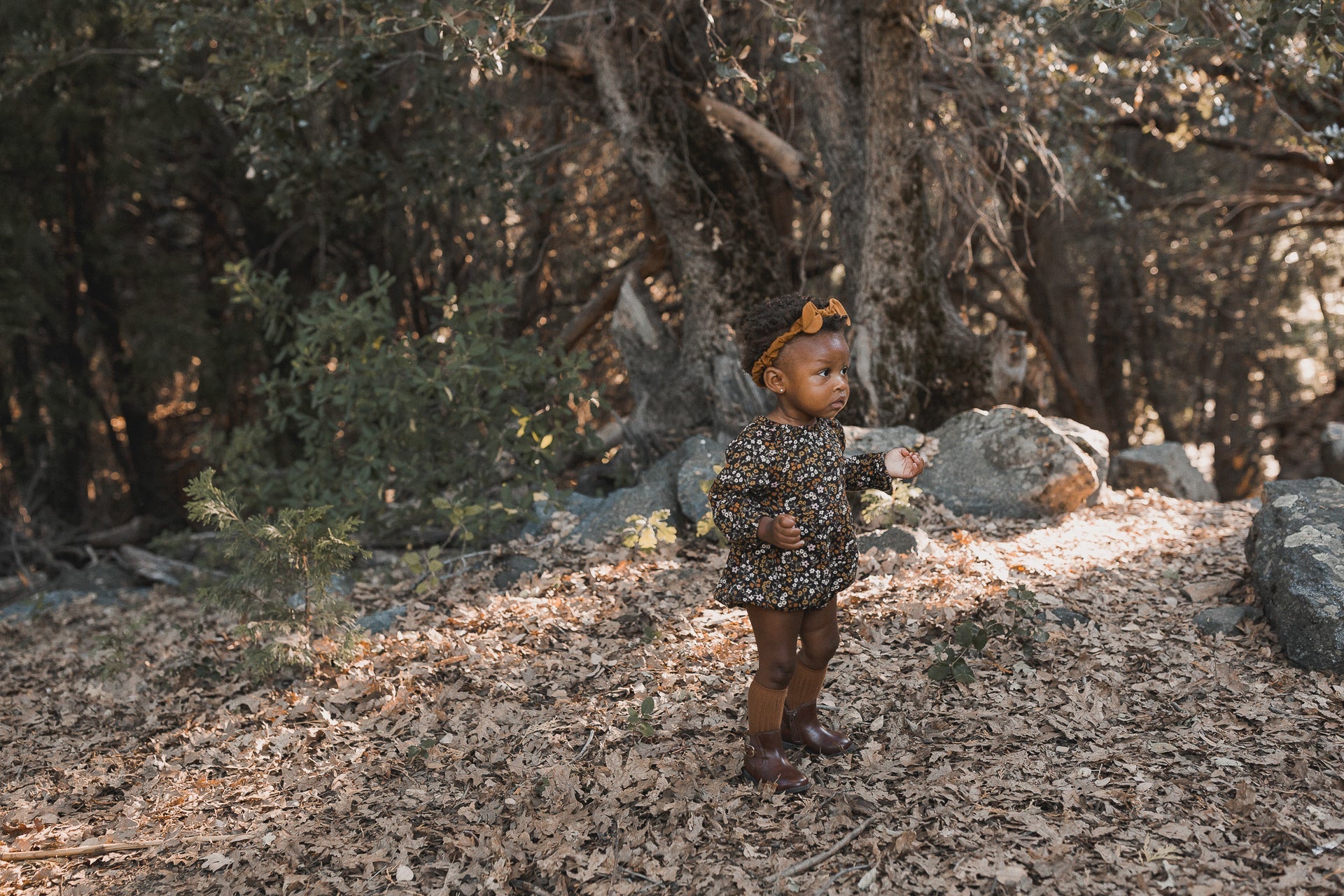 Rylee + Cru Enchanted Forest Collection AW20 Drop one - Alphabetically: A-Z