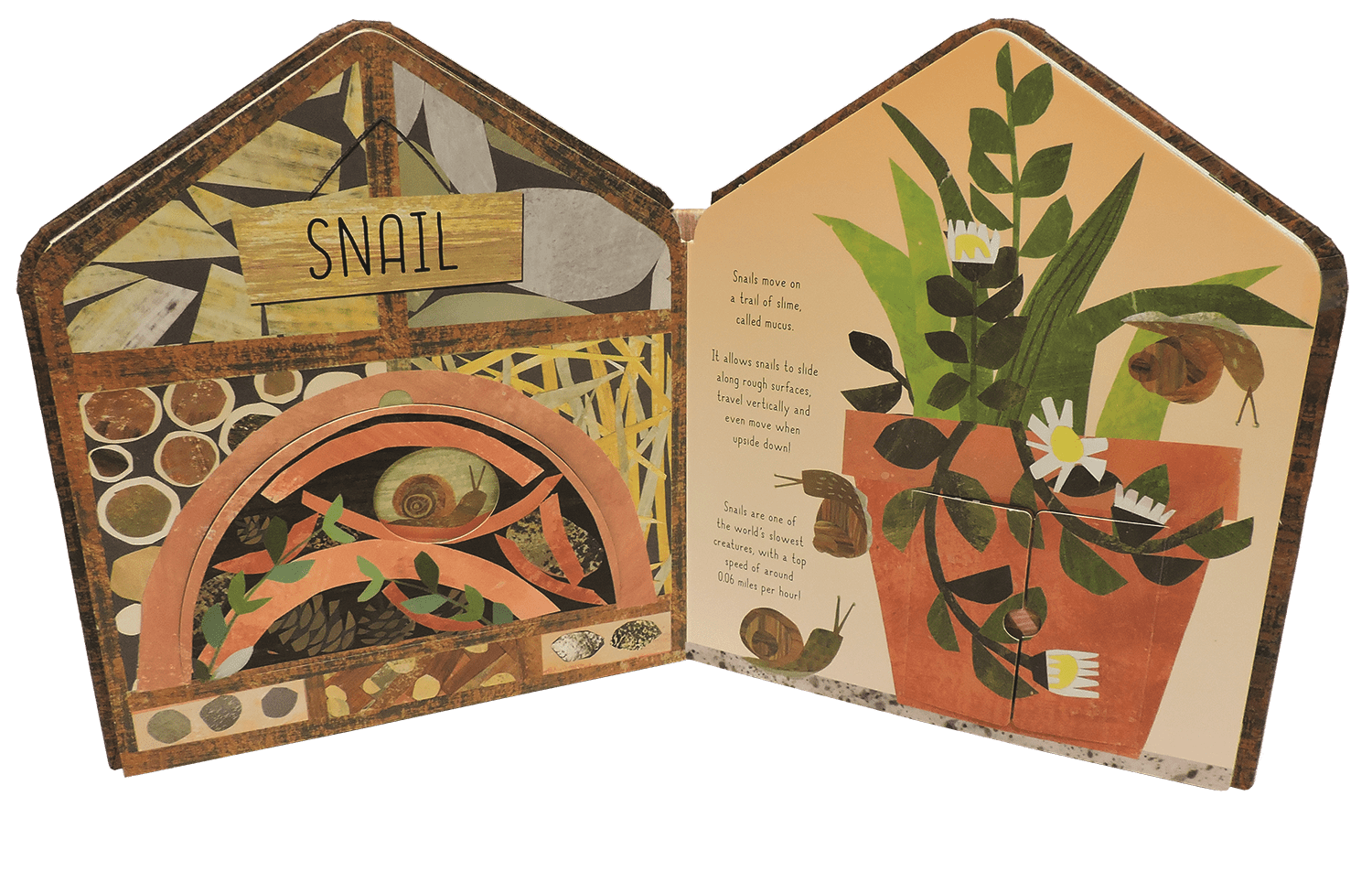 Bug Hotel - TAYLOR + MAXEDC Publishing