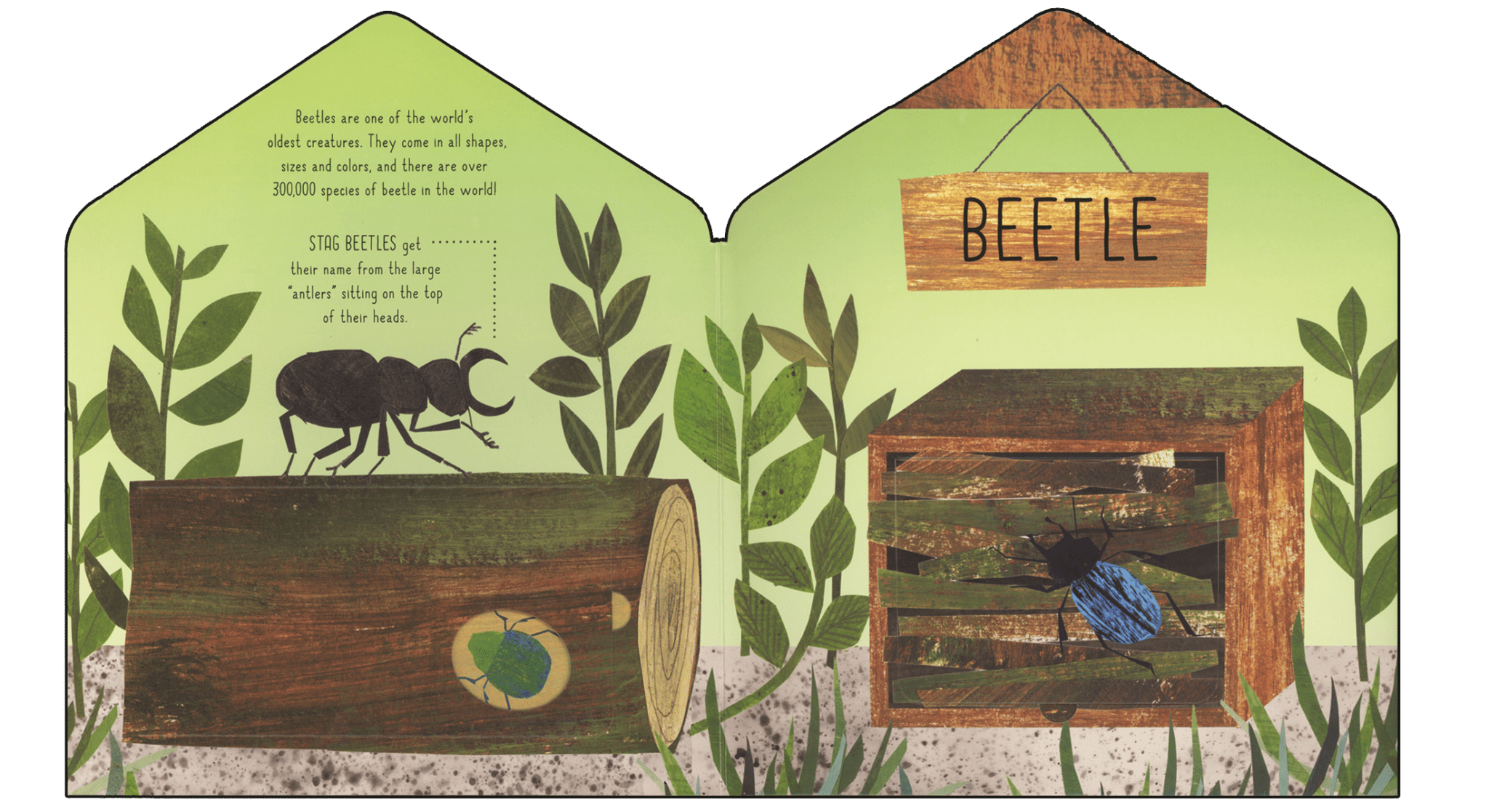 Bug Hotel - TAYLOR + MAXEDC Publishing