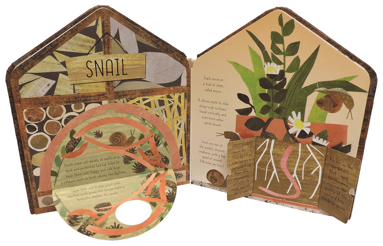 Bug Hotel - TAYLOR + MAXEDC Publishing