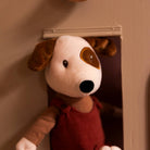 Eddie Dog EgmontTAYLOR + MAX