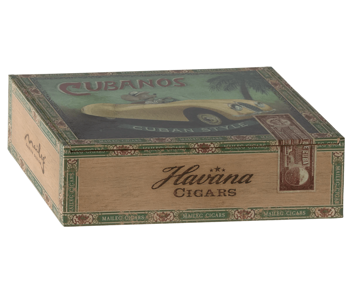 Grandma and Grandpa Mice In CigarBox MailegTAYLOR + MAX