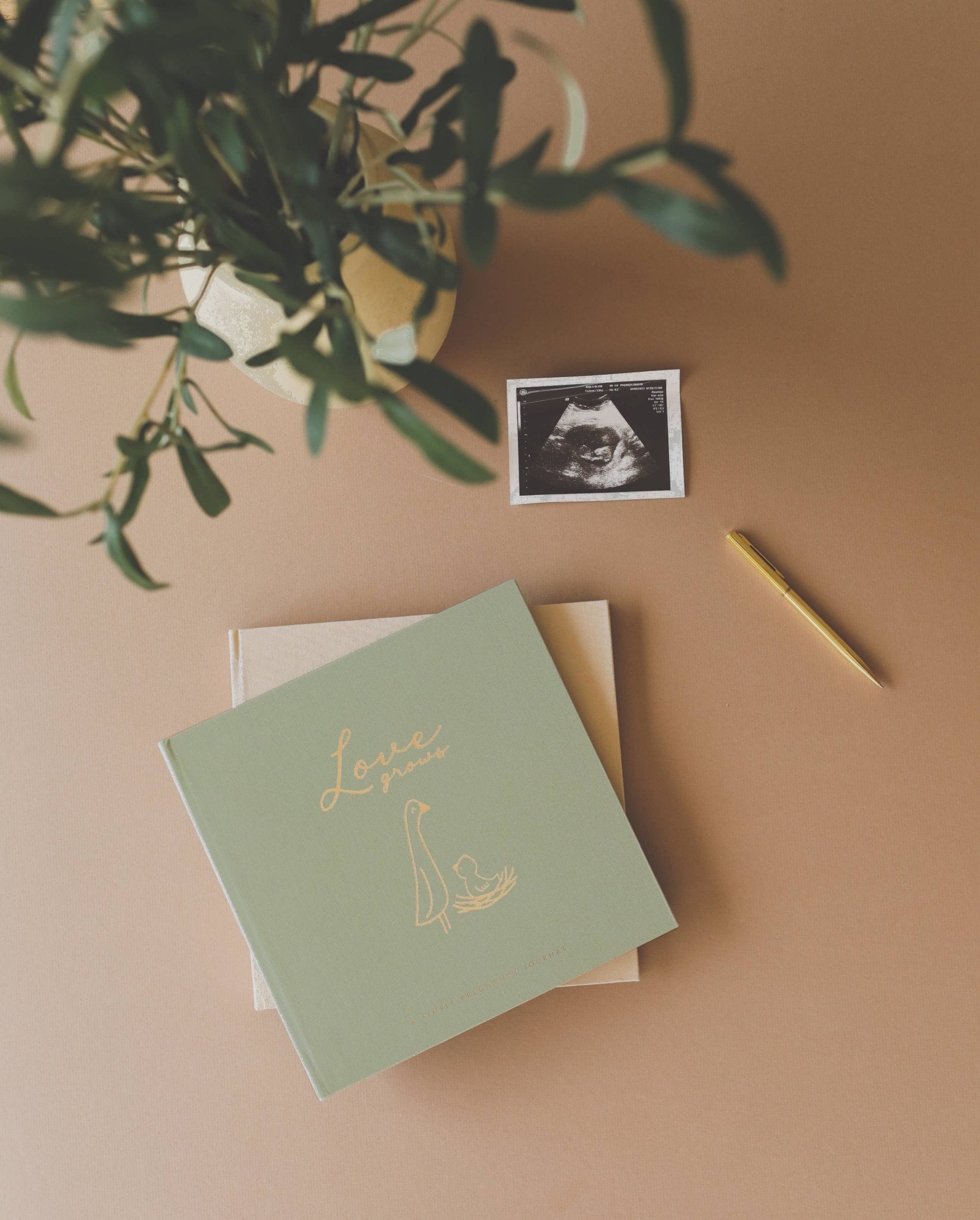 Lucy Darling Pregnancy Journal: Desert Sand - TAYLOR + MAXLucy Darling