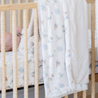 PETER RABBIT™ BAMBOO RAYON MUSLIN/LUSH BLANKETS: Boy SaranoniTAYLOR + MAX
