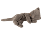 Sleeping Kitten Plush | Grey Small PlushMailegTAYLOR + MAX