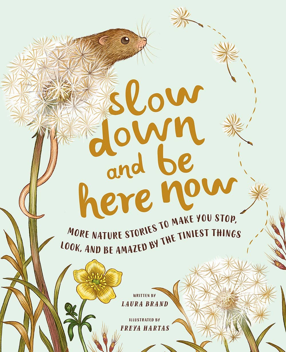 Slow Down and Be Here Now - TAYLOR + MAXAbrams