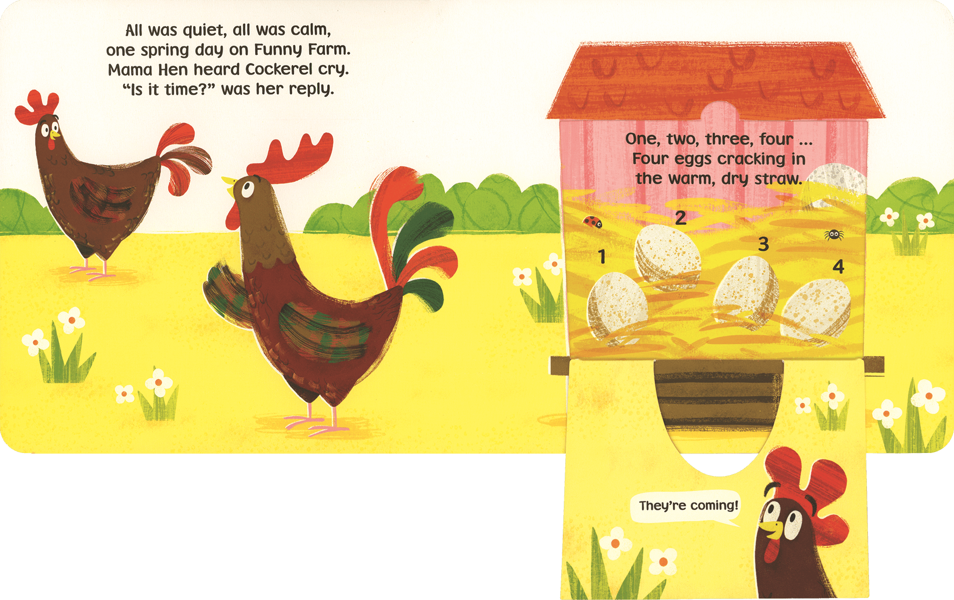 The Funny Farm: Cluck Cluck Duck - TAYLOR + MAXEDC Publishing