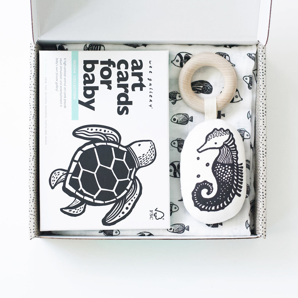Little Naturalist Gift Set - Ocean - TAYLOR + MAXWee Gallery