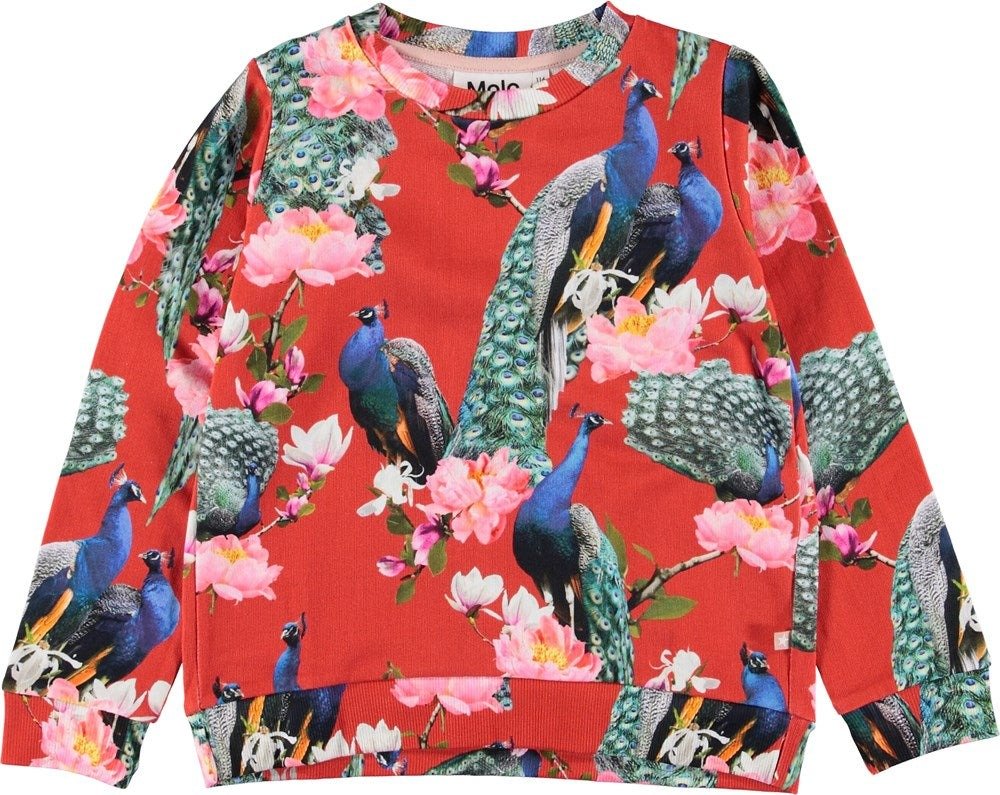 Marlee Red Peacock Sweatshirt - TAYLOR + MAXMOLO